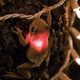 Illustration for article titled That's Not a Firefly, You Silly Frog
